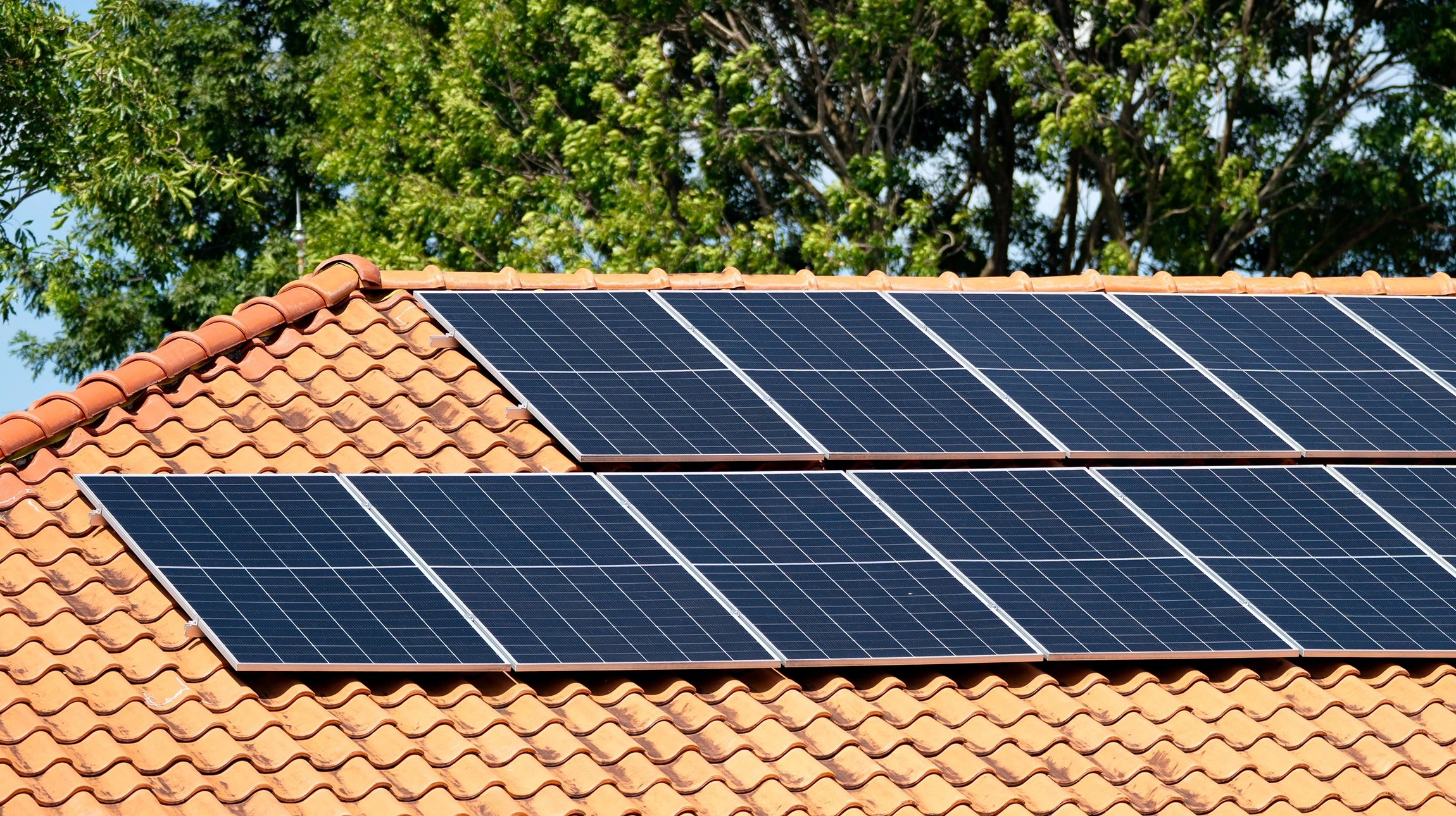 Sc&egrave;ne ext&eacute;rieure r&eacute;sidentielle montrant plusieurs maisons en bois avec toitures &eacute;quip&eacute;es de panneaux solaires photovolta&iuml;ques